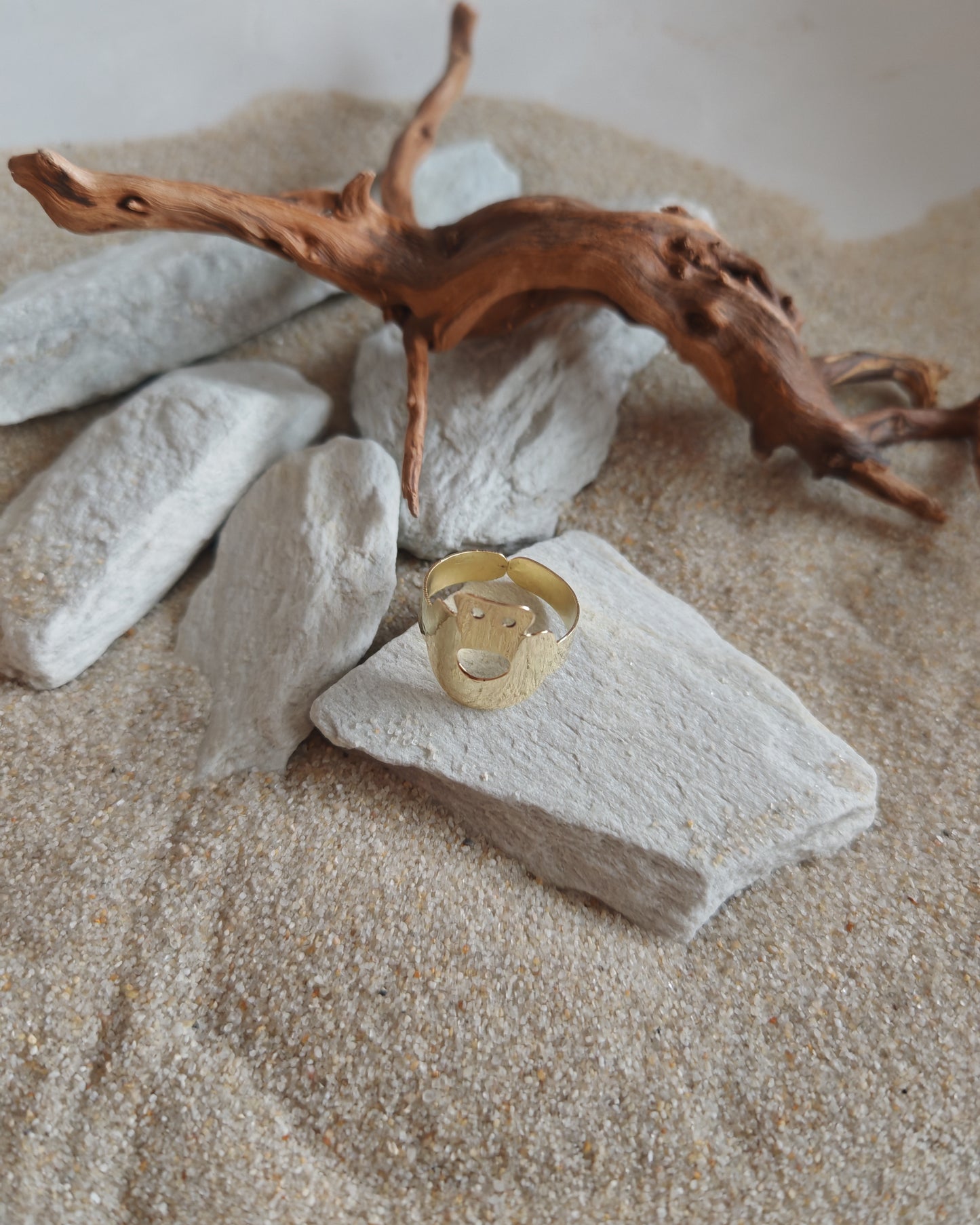 Brass Ring Inspired by the Varna Amulet — Archaeological Jewelry | Ancient Inspiration